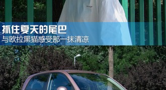 抓住夏天的尾巴 与欧拉黑猫感受那一抹清凉