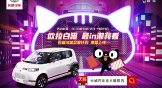 一车千面 潮力共创 欧拉白猫拉花众筹玩嗨了