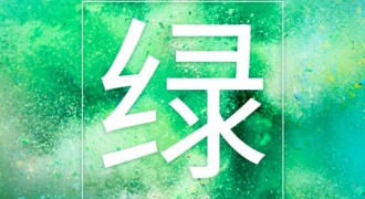 碳中和成两会热词 中国汽车企业应如何实现低碳转型？