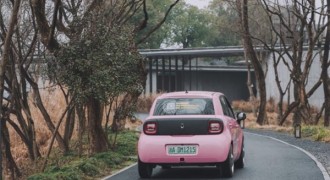 “喵”趣横生，欧拉黑猫女神车主带你细赏杭州