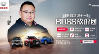 长城炮双11超级砍 不用“剁手”就提车